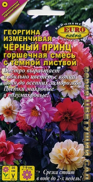 �������� ���������� ׸���� ����� ��������� ����� � ����� �������