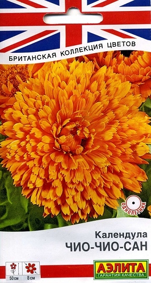 ��������� ���-���-���