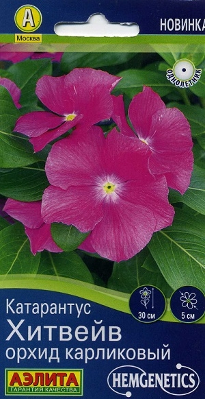 ���������� ������� ����� ����������