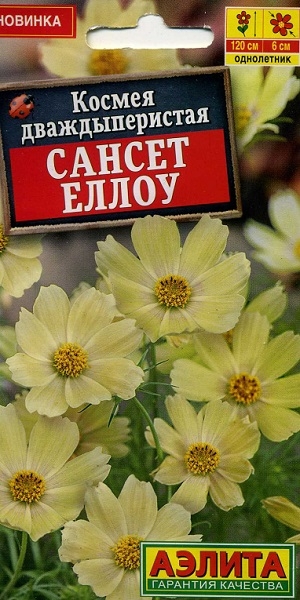 ������ �������������� ������ �����