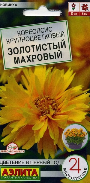 ��������� ��������������� ���������� ��������