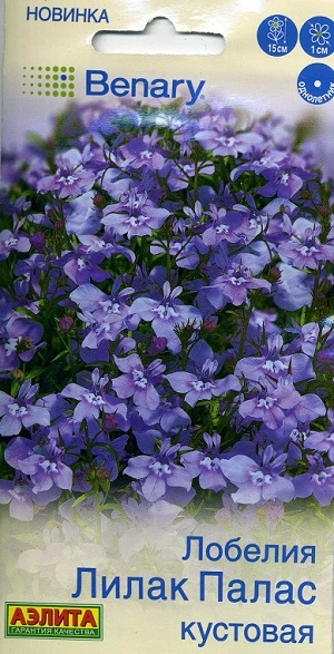 ������� ����� ����� ��������