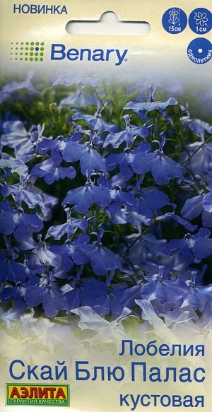 ������� ���� ��� ����� ��������