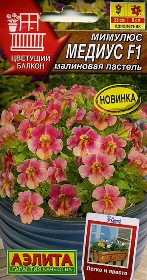 ������� ������ F1 ��������� �������