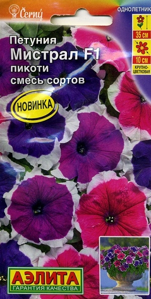 ������� ������� F1 ������ ����� ������