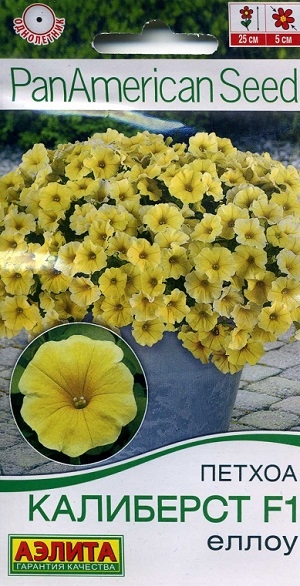 ������ ��������� F1 �����