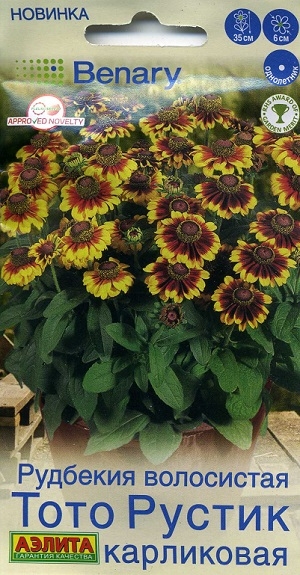 �������� ���������� ���� ������ ����������