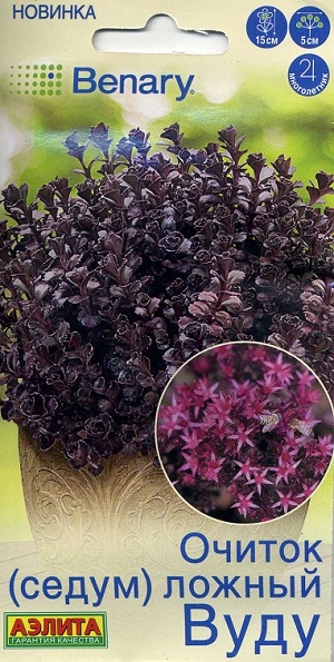 ������ (�����) ������ ����