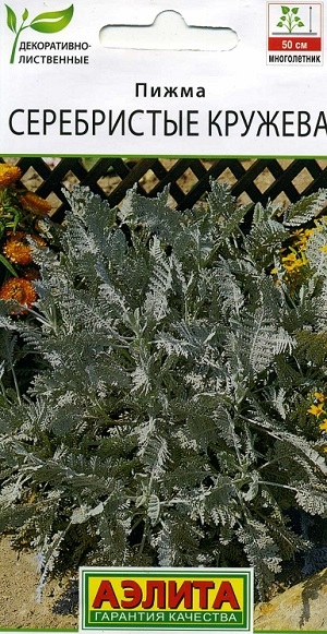 ����� ����������� �������