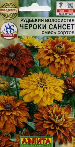 �������� ���������� ������ ������ ����� ������