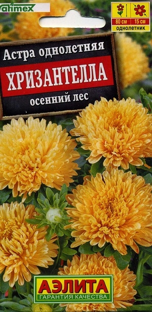 ����� ���������� ����������� ������� ���