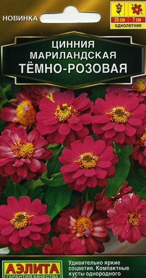 ������ ������������ ����-�������