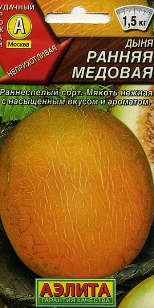 ���� ������ �������