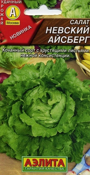 ����� ������� �������