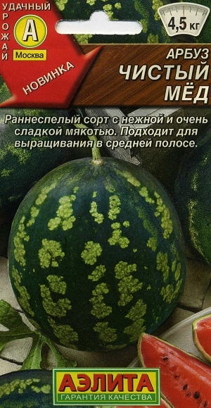 ����� ������ ̸�