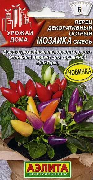 ����� ������������ ������ ������� �����