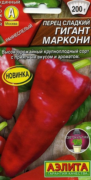 ����� ������� ������ �������