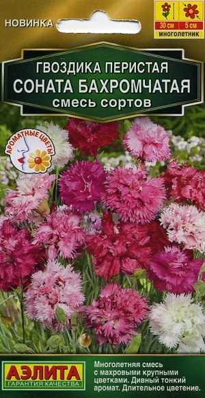 �������� �������� ������ ����������� ����� ������