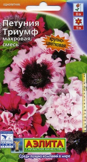 ������� ������ �������� ���������������, �����