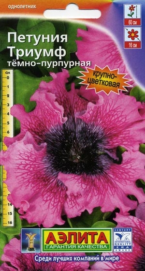 ������� ������ �����-��������� ���������������