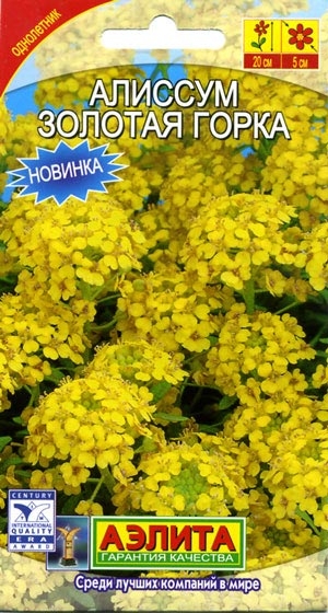 Алиссум Золотая горка