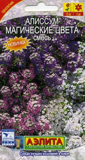 Алиссум Магические цвета, смесь