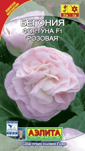 Бегония Фортуна F1 розовая