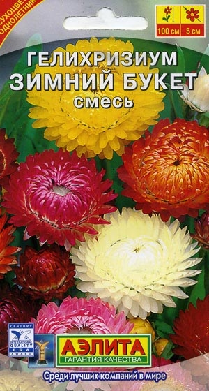 Гелихризиум Зимний букет смесь
