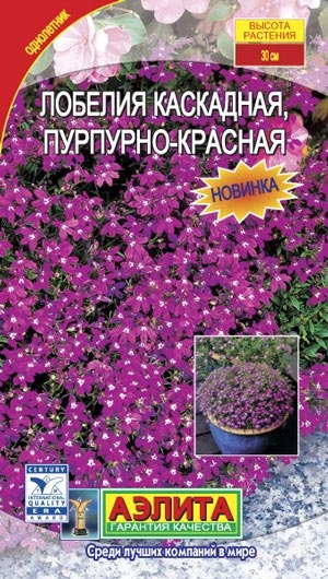 ������� ��������� ��������� ��������-�������