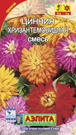 Цинния (циния) Хризантемовидная смесь