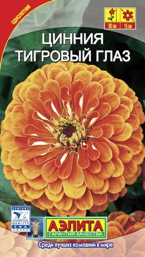 ������ (�����) �������� ���� ��������������