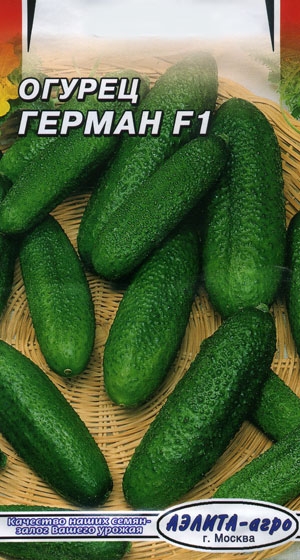   F1