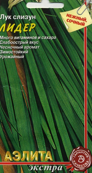 ��� ������ �����