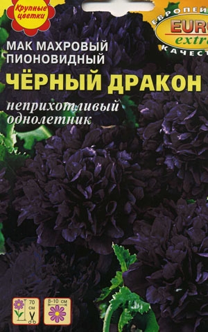 Мак Черный дракон махровый пионовидный