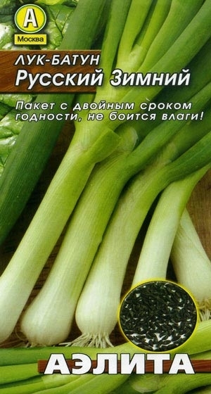 Лук батун Русский Зимний