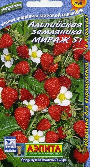   S1 
