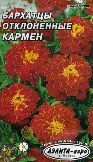 Бархатцы Кармен отклоненные