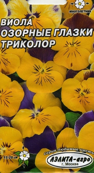 Виола Озорные глазки триколор гибридная