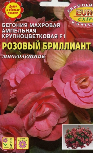 Бегония Розовый бриллиант F1 махровая ампельная