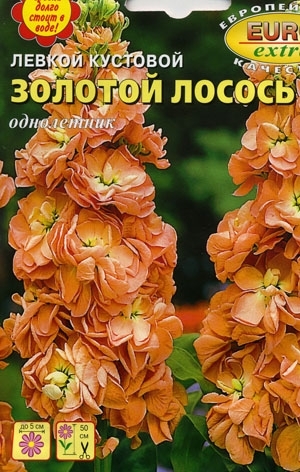 Левкой кустовой Золотой лосось