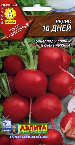 16 
