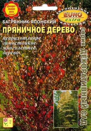 Багрянник японский Пряничное дерево