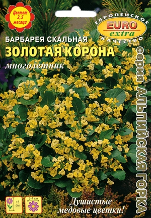 Барбарея скальная (Сурепка) Золотая корона