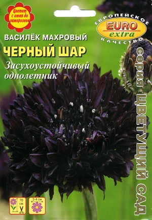 Василек махровый Черный шар