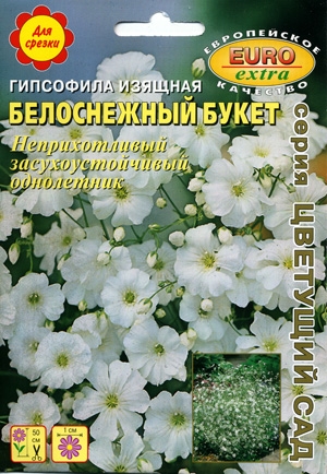 Гипсофила изящная Белоснежный букет