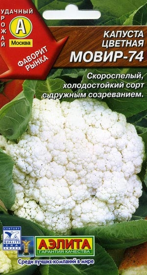   -74