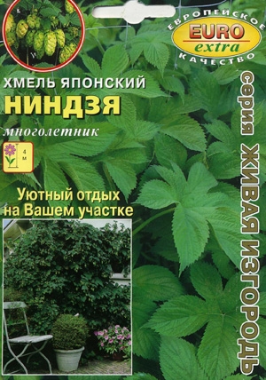Хмель японский Ниндзя