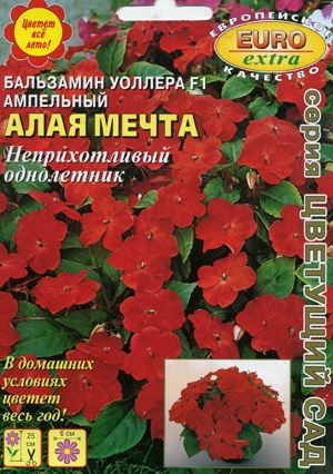 Бальзамин Уоллера F1 Алая мечта ампельный