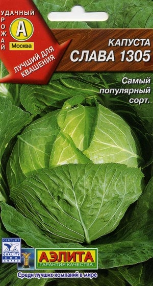    1305