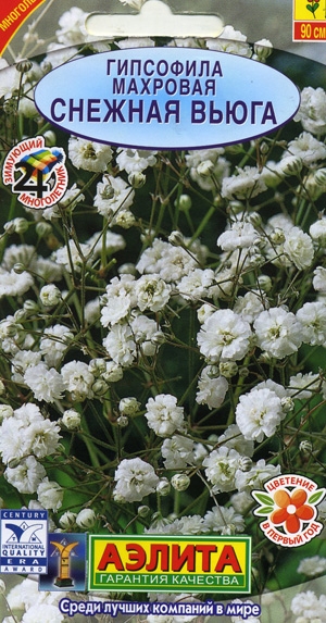 ��������� ������� ����� ��������